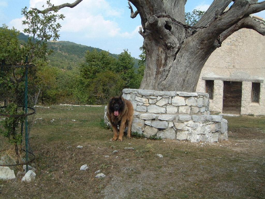 Auberge Du Riou Puget-Rostang Exterior foto